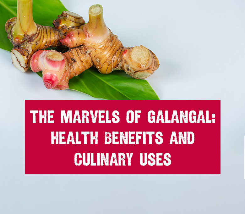 Galangal Health Benefits